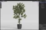 Plants collection 1004