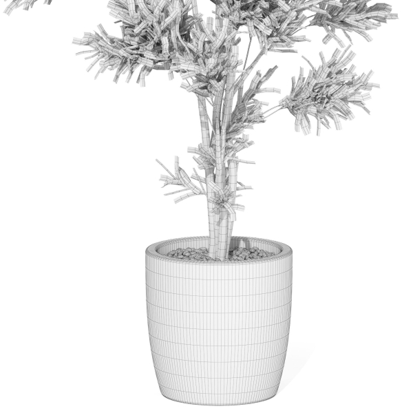 Plants collection 1004