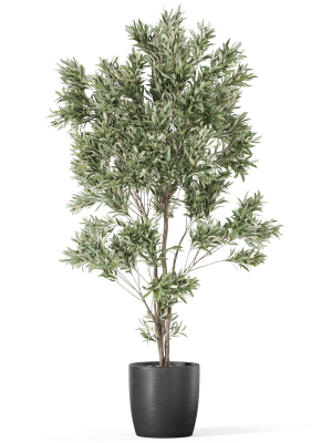 plants-collection-1004-3d-model-d5df9288d0