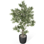Plants collection 1004