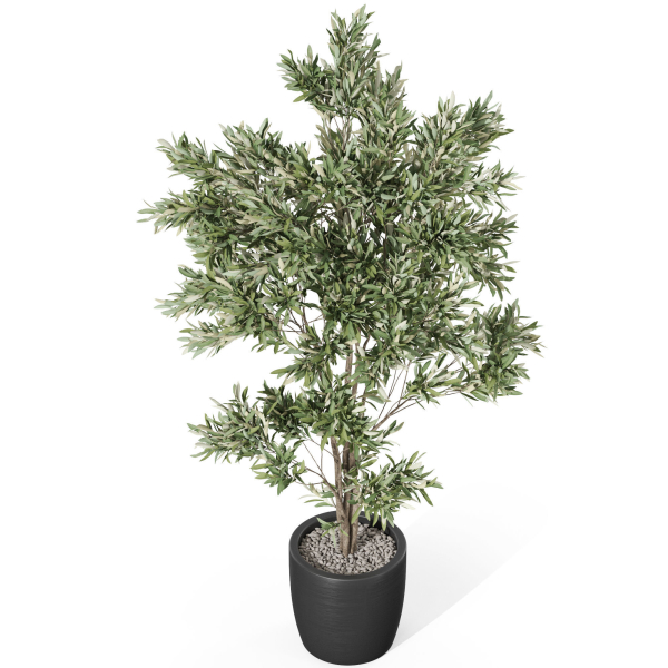 Plants collection 1004