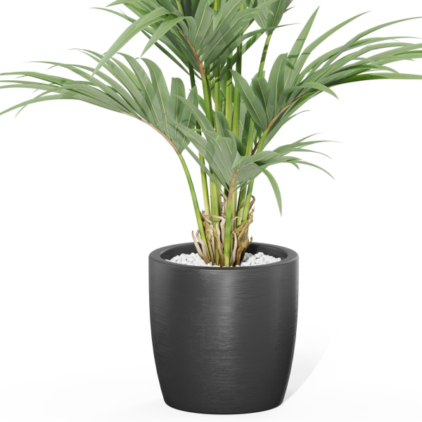 Plants collection 1007