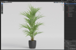 Plants collection 1007