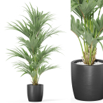 Plants collection 1007