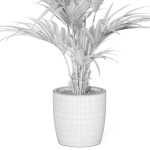 Plants collection 1007