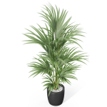 Plants collection 1007