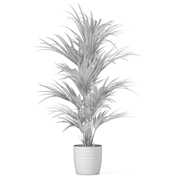 Plants collection 1007