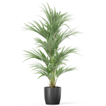 Plants collection 1007