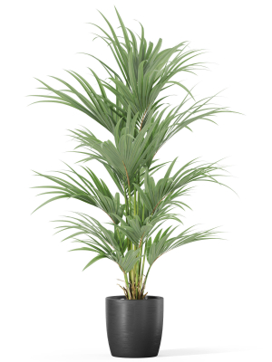 plants-collection-1007-3d-model-fdca33d5a9