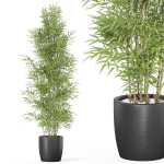 Plants collection 1008