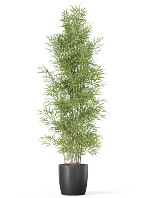 plants-collection-1008-3d-model-6572658409