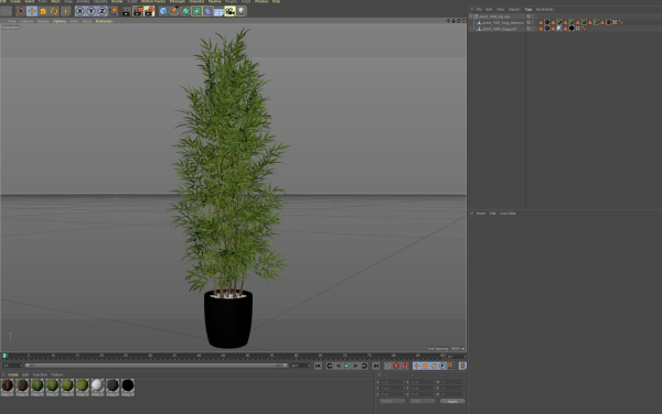 Plants collection 1008