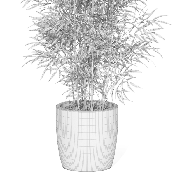 Plants collection 1008