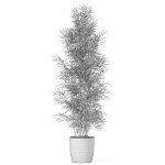Plants collection 1008