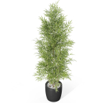 Plants collection 1008