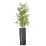 Plants collection 1009