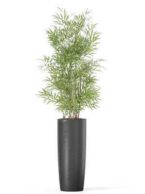 plants-collection-1009-3d-model-3a1427b912
