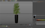 Plants collection 1009