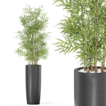 Plants collection 1009