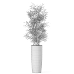Plants collection 1009