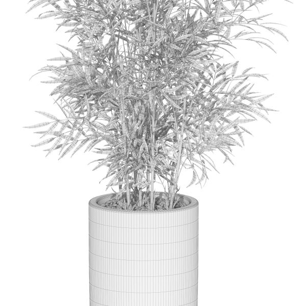 Plants collection 1009