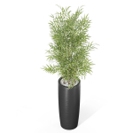 Plants collection 1009