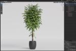 Plants collection 1010