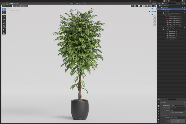 Plants collection 1010