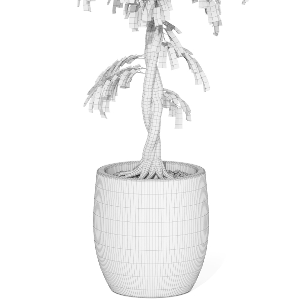 Plants collection 1010