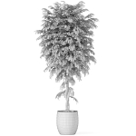 Plants collection 1010