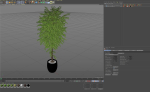 Plants collection 1010