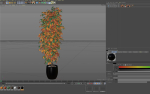 Plants collection 1012