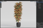 Plants collection 1012