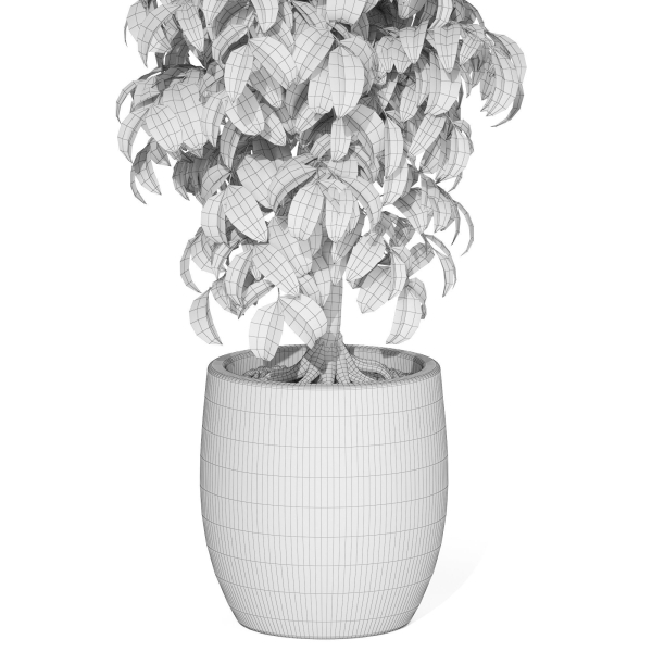 Plants collection 1012