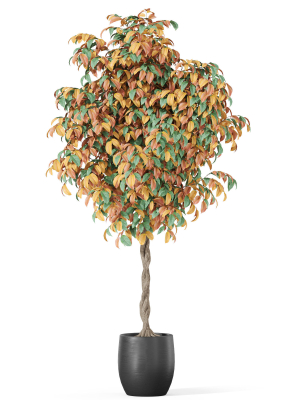 plants-collection-1013-3d-model-5356b345bd
