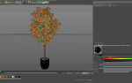 Plants collection 1013