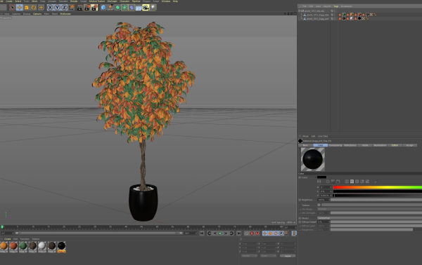 Plants collection 1013