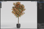 Plants collection 1013
