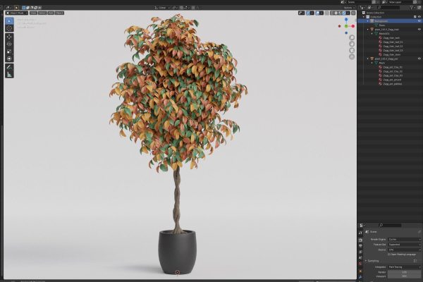 Plants collection 1013