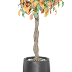 Plants collection 1013