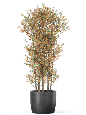 plants-collection-1014-3d-model-0ab5454fe8