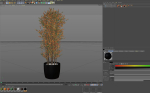 Plants collection 1014