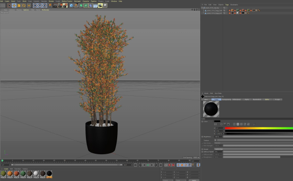 Plants collection 1014