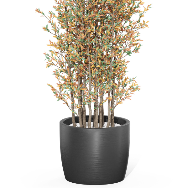 Plants collection 1014