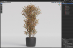 Plants collection 1014