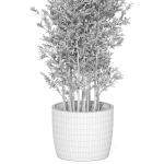 Plants collection 1014