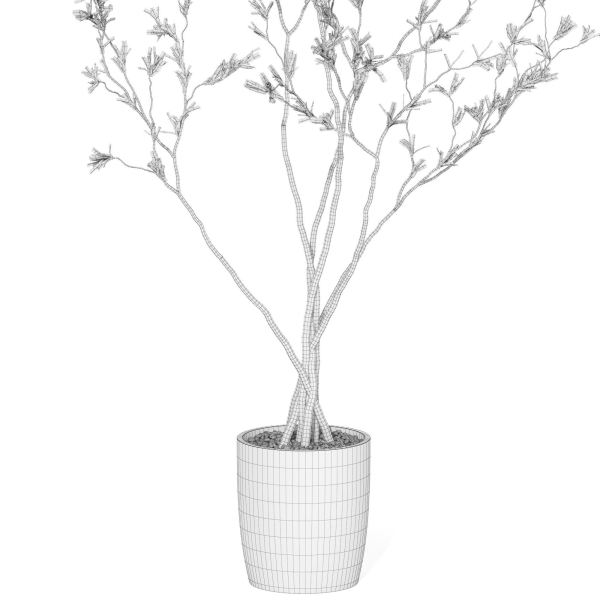Plants collection 1015