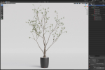 Plants collection 1015