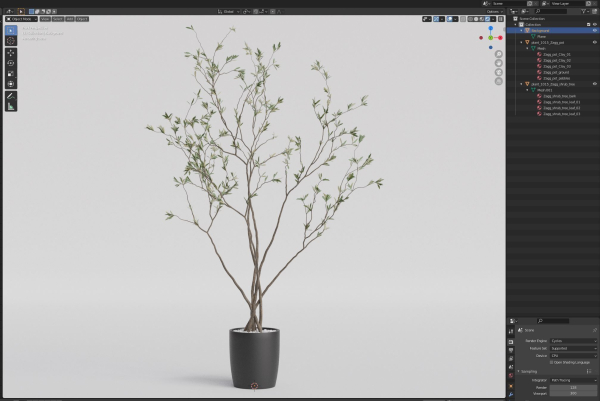 Plants collection 1015