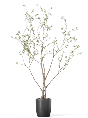 plants-collection-1015-3d-model-b765e78121